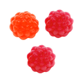 Forest Berries